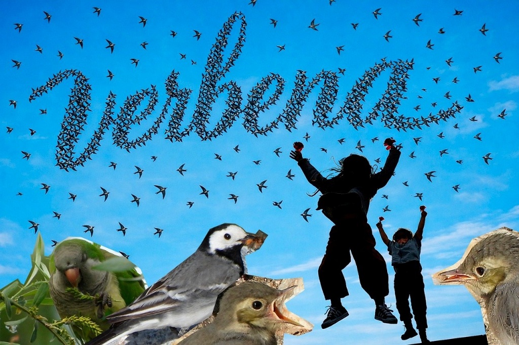 verbena 2026