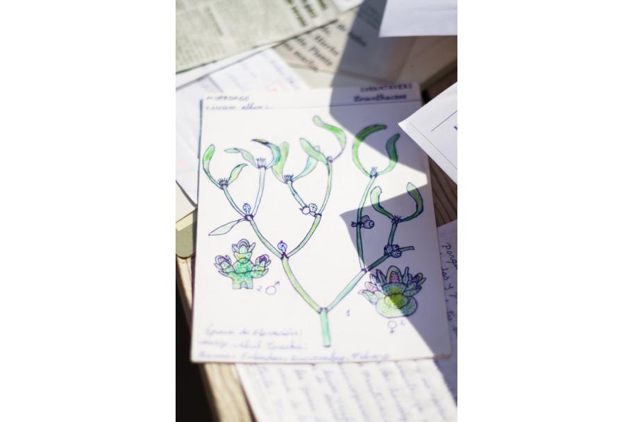 Taller de huerto en la terraza del CA2M, 2015. fotografía: María Eugenia Serrano Díez