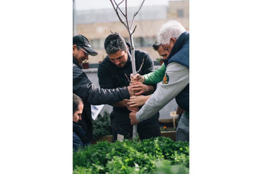 Taller de huerto en la terraza del CA2M, 2016. fotografía: María Eugenia Serrano Díez