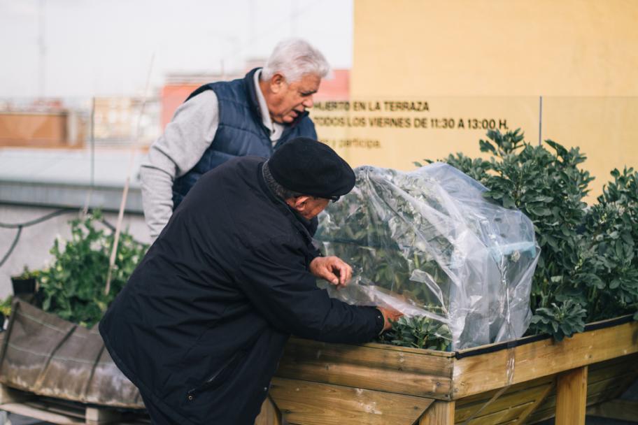 Taller de huerto en la terraza del CA2M, 2016. fotografía: María Eugenia Serrano Díez