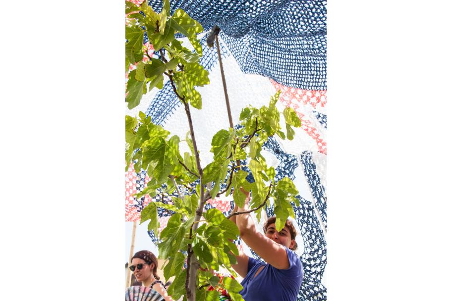Taller de huerto en la terraza del CA2M, 2017. fotografía: María Eugenia Serrano Díez