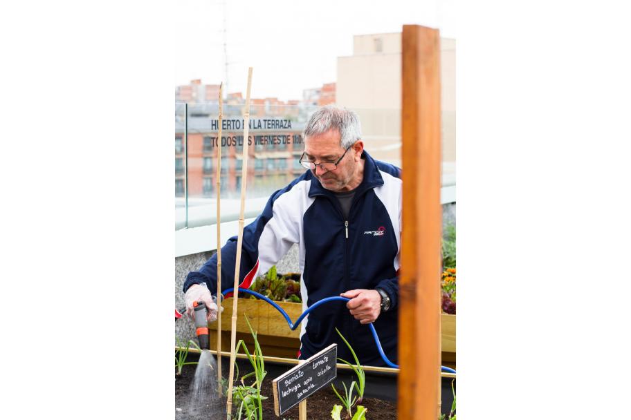Taller de huerto en la terraza del CA2M, 2018. fotografía: María Eugenia Serrano Díez