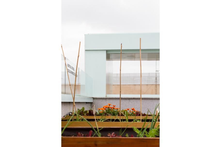 Taller de huerto en la terraza del CA2M, 2018. fotografía: María Eugenia Serrano Díez