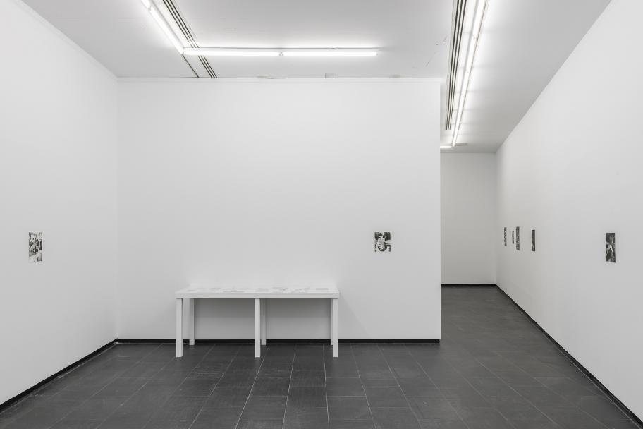 Exposición Jochen Lempert CA2M. Foto: Roberto Ruiz