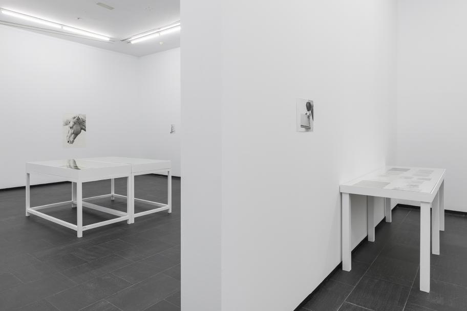 Exposición Jochen Lempert CA2M. Foto: Roberto Ruiz