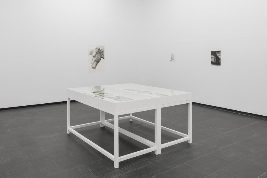 Exposición Jochen Lempert CA2M. Foto: Roberto Ruiz