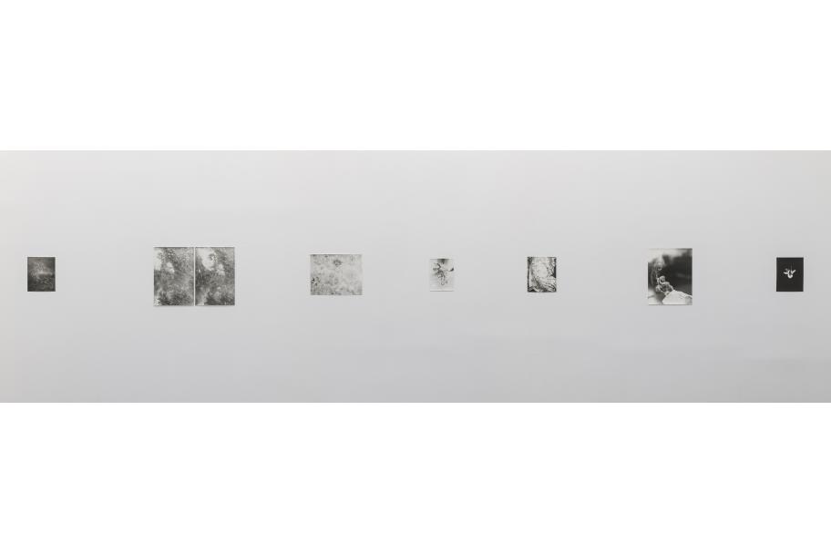 Exposición Jochen Lempert CA2M. Foto: Roberto Ruiz