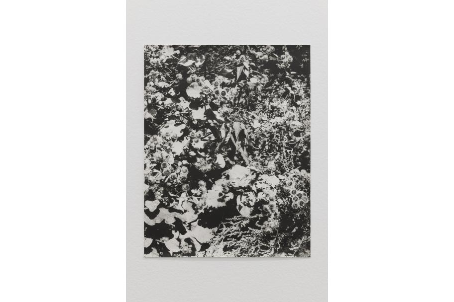 Exposición Jochen Lempert CA2M. Foto: Roberto Ruiz