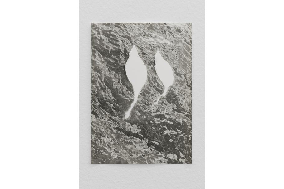 Exposición Jochen Lempert CA2M. Foto: Roberto Ruiz