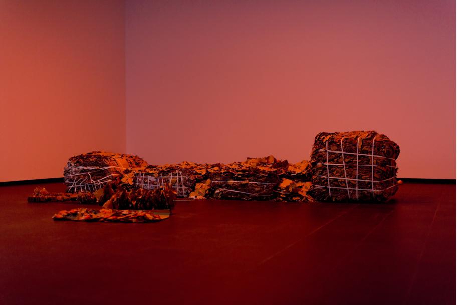 Exposición Julia Spínola en CA2M. Fotografías: Arantxa Boyero