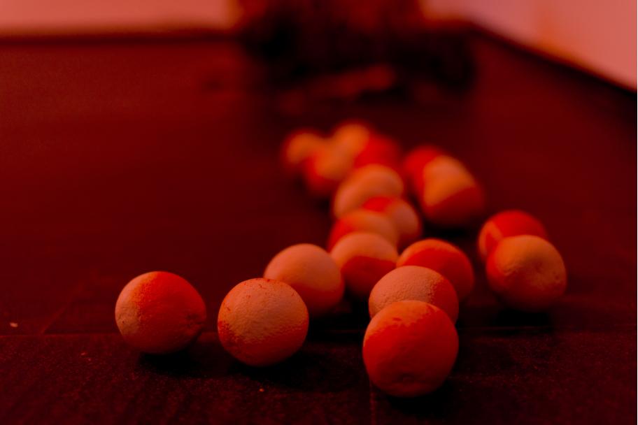 Exposición Julia Spínola en CA2M. Fotografías: Arantxa Boyero