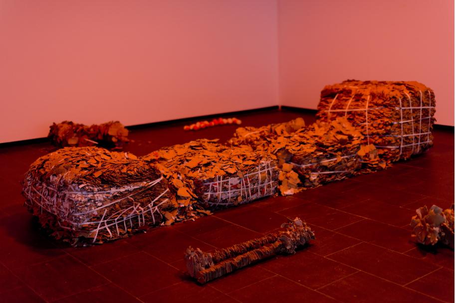 Exposición Julia Spínola en CA2M. Fotografías: Arantxa Boyero