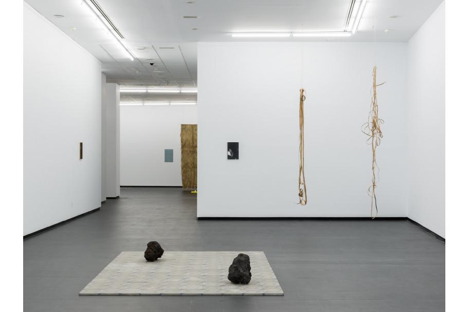 Exposición Rometti Costales en el CA2M. Foto: Alejandro Cayetano