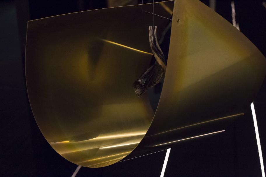 Exposición Armando Andrade Tudela en CA2M. Fotografía: Patricia Nieto