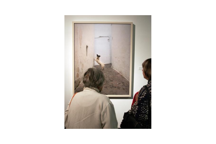 Light Years. Cristina Lucas 6