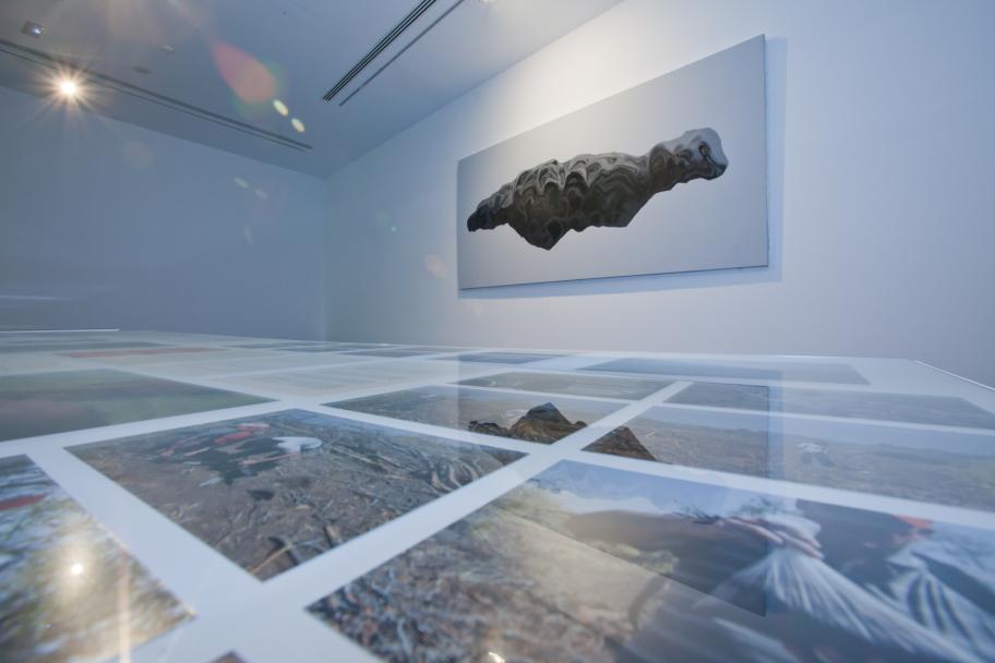 Estación experimental