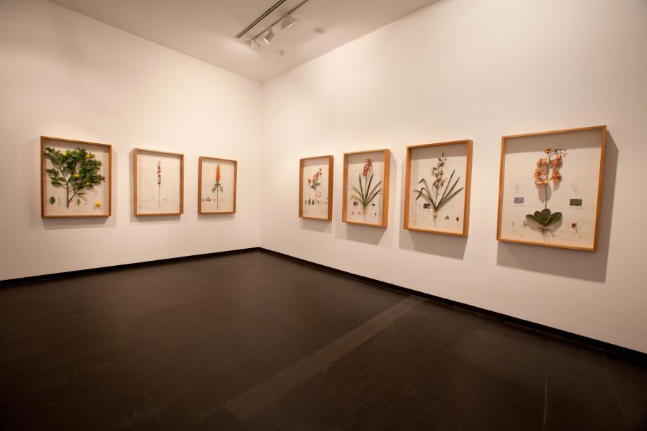 Estación experimental