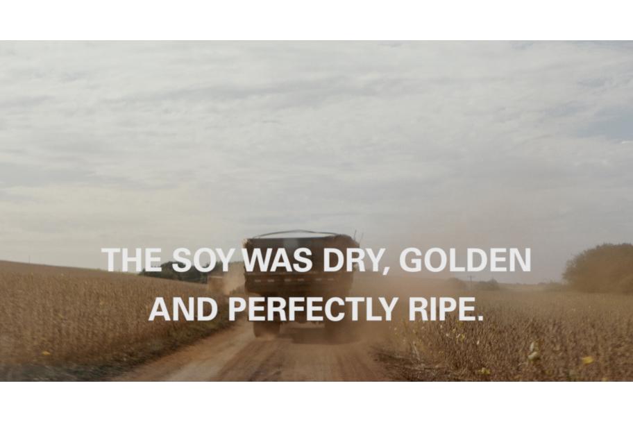 Pedro Neves. YWY, Visions