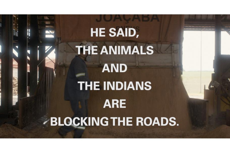 Pedro Neves. YWY, Visions