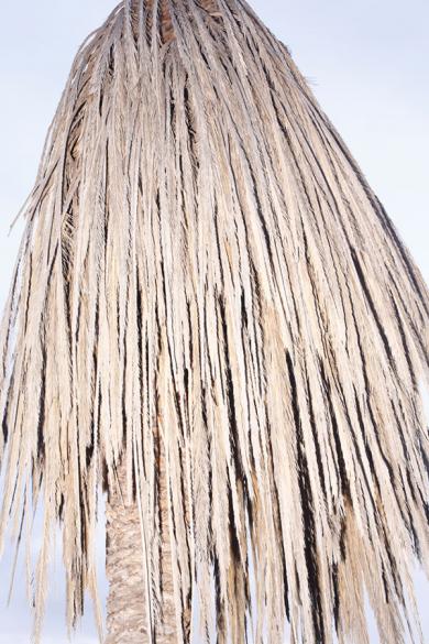 Main image of the artwork Estudio elemental del Levante 23