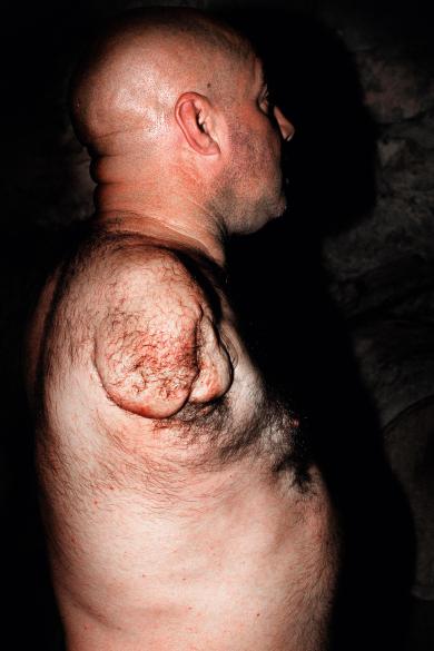 Main image of the artwork Sin título. Serie Nemini Parco