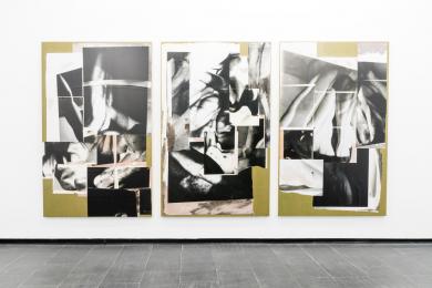 Main image of the artwork Bodybuilding (Tríptico elemental de un cuerpo)