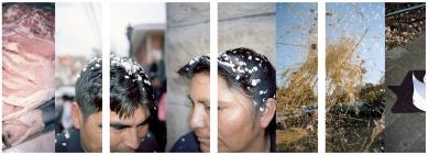 Main image of the artwork Serie: eden