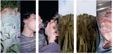 Main image of the artwork Serie: eden