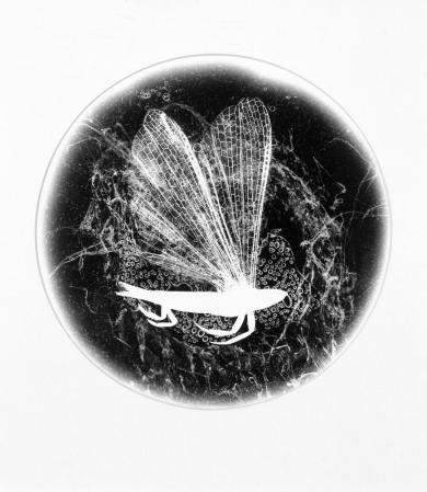 Main image of the artwork Sin título