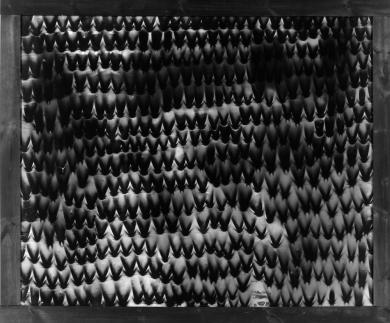 Main image of the artwork Celebración