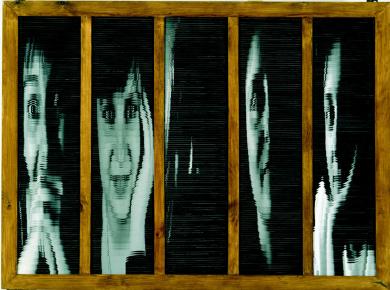 Main image of the artwork Biodiversidad