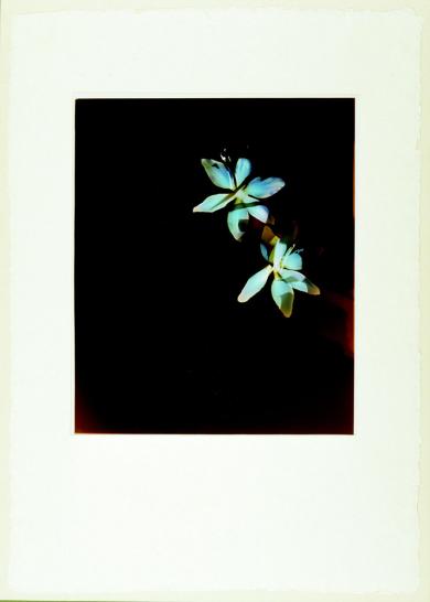 Main image of the artwork Rais de lune