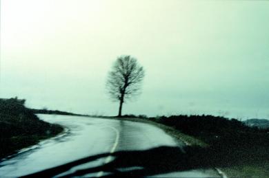 Main image of the artwork Camino de Miranda do Douro