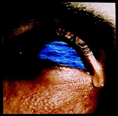 Main image of the artwork Sin título