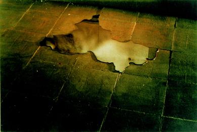 Main image of the artwork Charco II