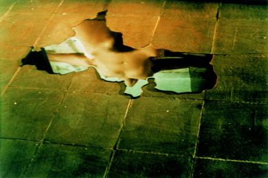 Main image of the artwork Charco III