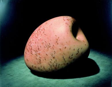 Main image of the artwork Sin título