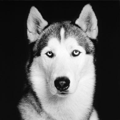 Main image of the artwork Sin título, nº 05