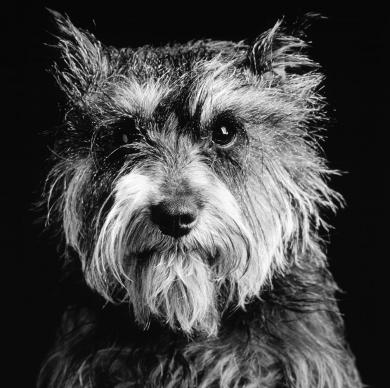 Main image of the artwork Sin título, nº 13