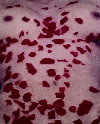 Main image of the artwork Ella tenía el trabajoso quehacer de cuidarse a sí misma