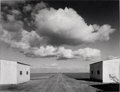 Main image of the artwork Paisaje en la marisma del Bajo Guadalquivir