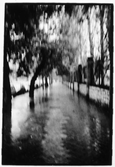 Main image of the artwork Fotografías de un diario