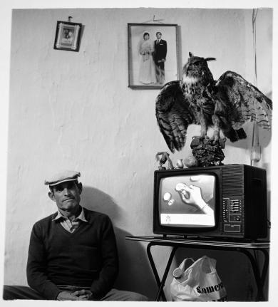 Main image of the artwork José López Martín