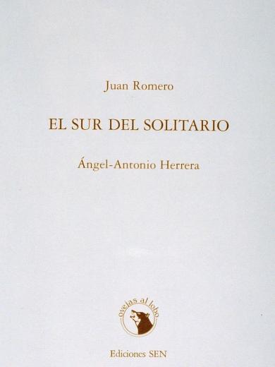 Main image of the artwork El sur del solitario