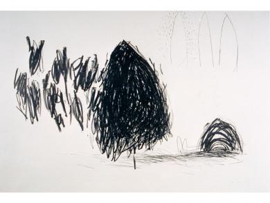 Main image of the artwork Ecuators to-bi polar