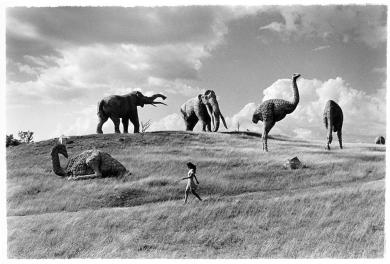 Main image of the artwork Paseo jurásico