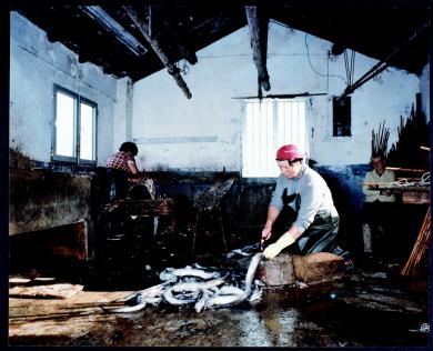 Main image of the artwork Secadoiro de congros