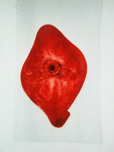 Main image of the artwork Aristoloche