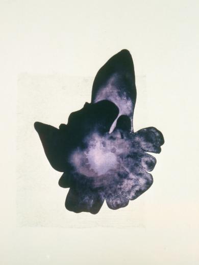 Main image of the artwork Genitale