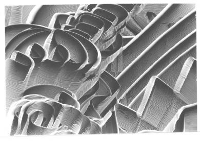 Main image of the artwork Sin título (Ideografías)